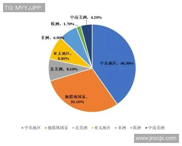 实时新闻数据分析视角下LNG市场的配合表现及其未来发展趋势探讨